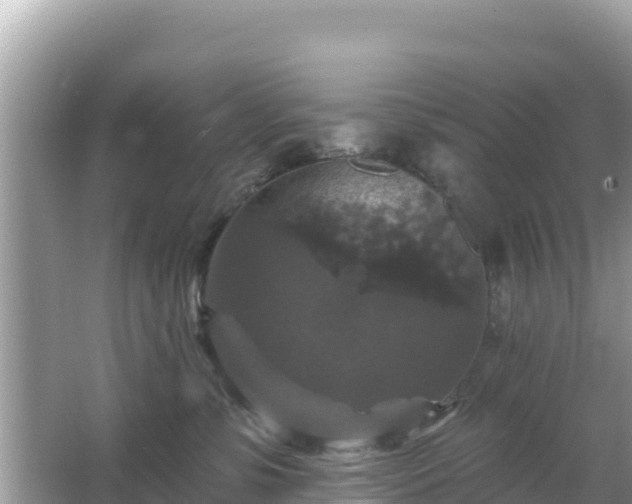 X0000066010331200603101603