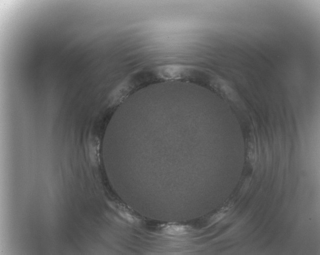 X0000066010332200603101603