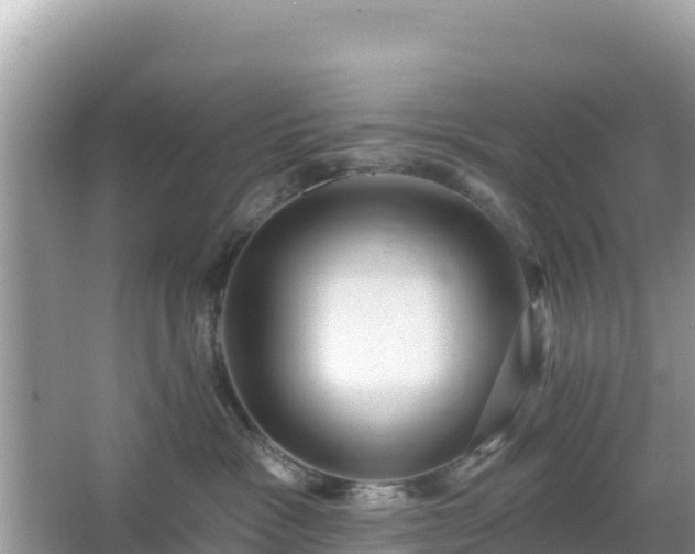 X0000066010333200603101603