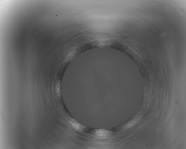 X0000066010336200603101603