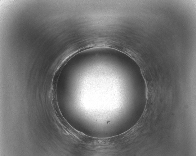 X0000066010338200603101602