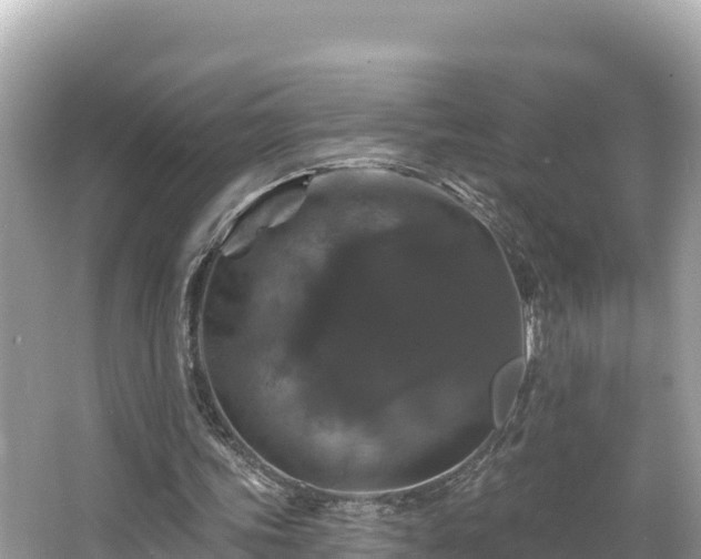 X0000066010339200603101602