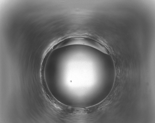 X0000066010340200603101602