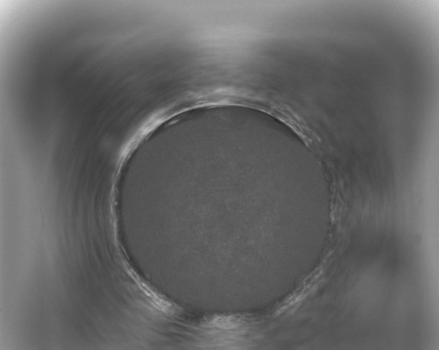 X0000066010341200603101602