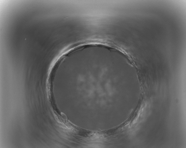 X0000066010343200603101602