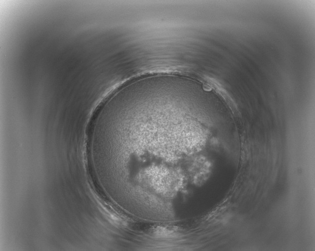 X0000066010346200603101602