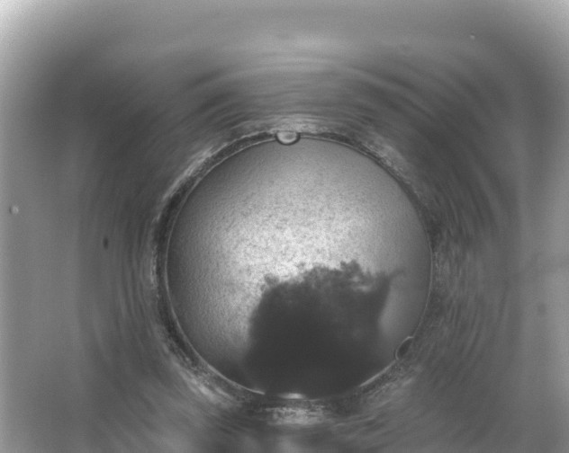 X0000066010347200603101602