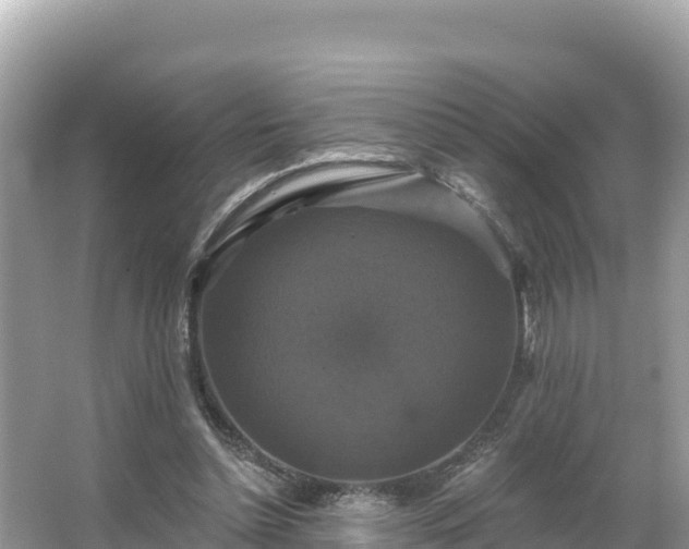 X0000066010348200603101602