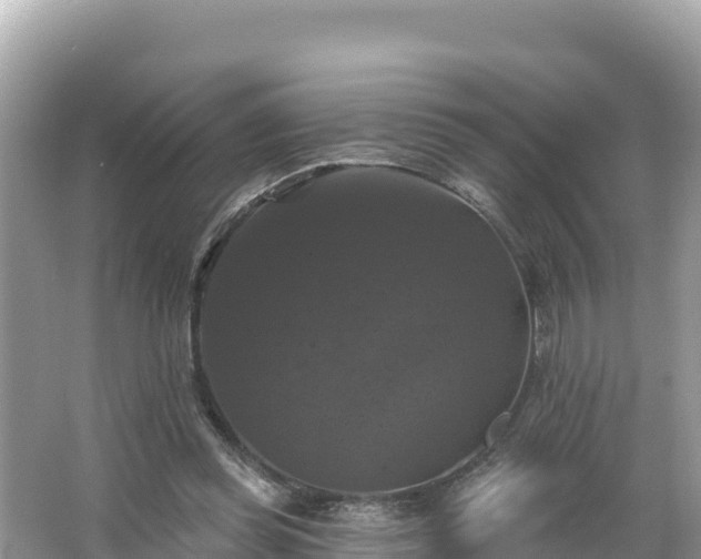 X0000066010349200603101602