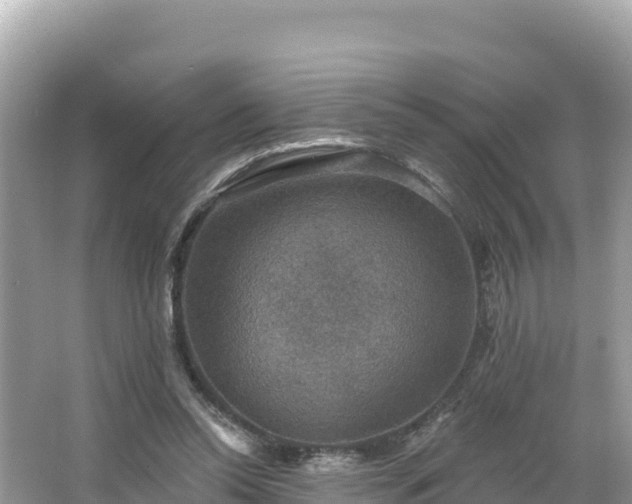 X0000066010350200603101602