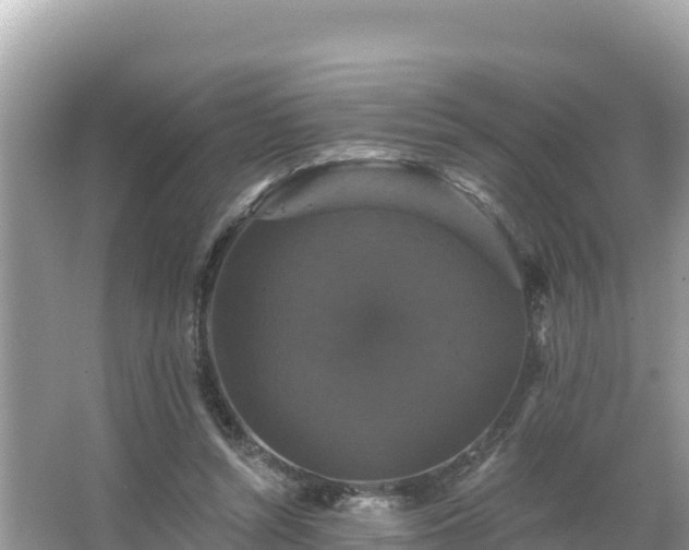 X0000066010352200603101602