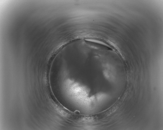 X0000066010353200603101602