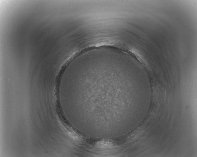 X0000066010354200603101602