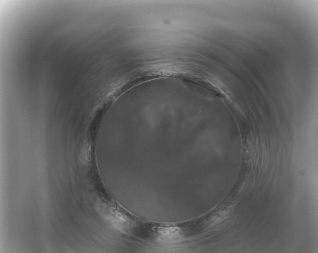 X0000066010355200603101602