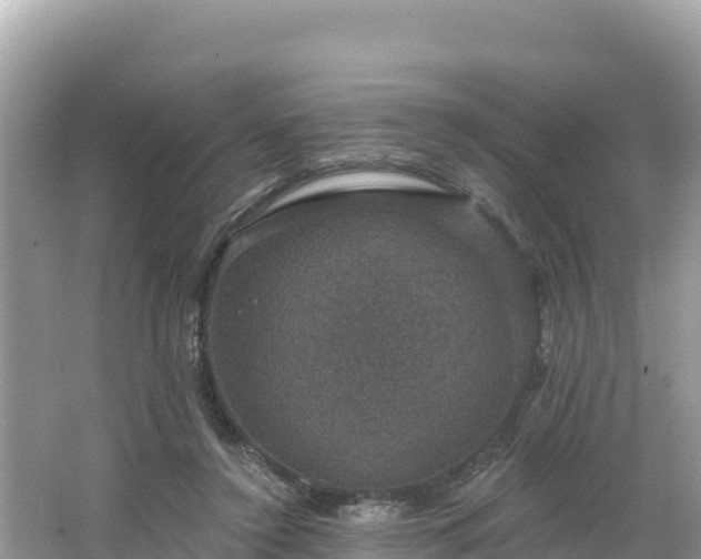 X0000066010356200603101602