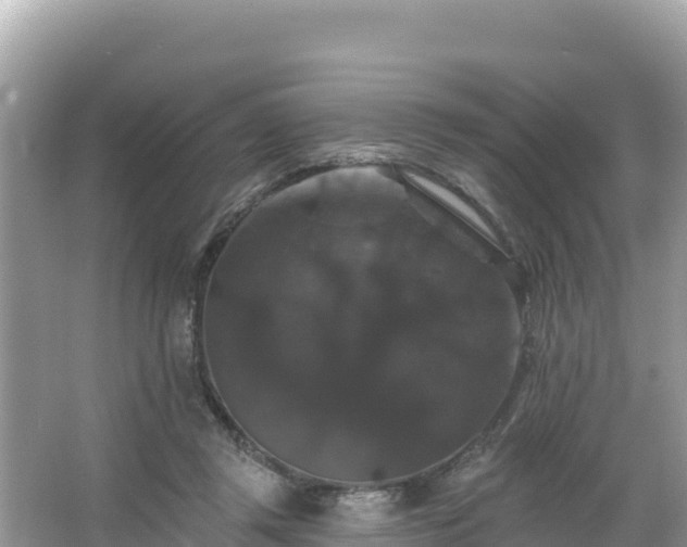 X0000066010357200603101602