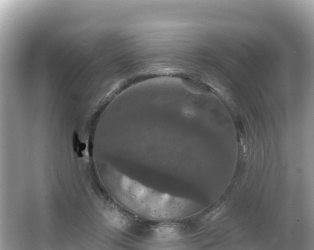 X0000066010358200603101602