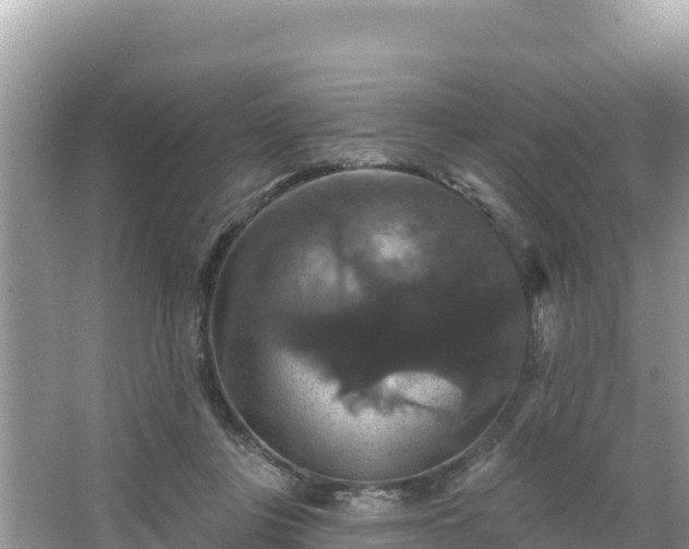 X0000066010359200603101602