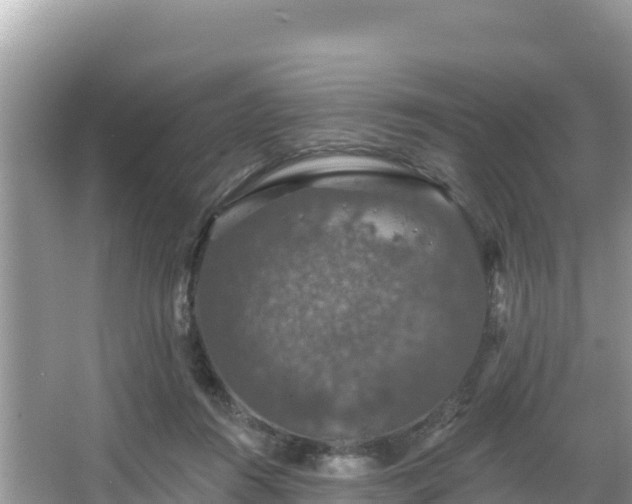 X0000066010360200603101602