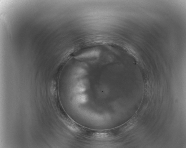 X0000066010361200603101603