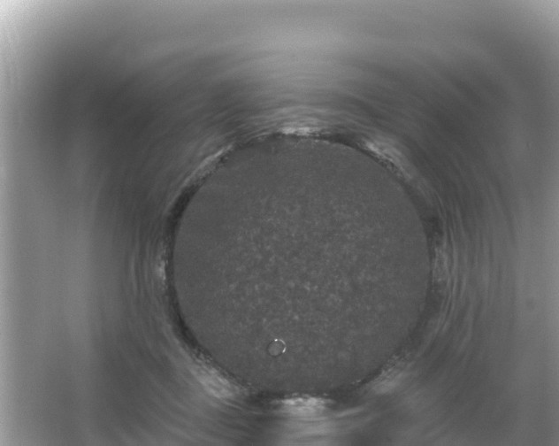 X0000066010363200603101603