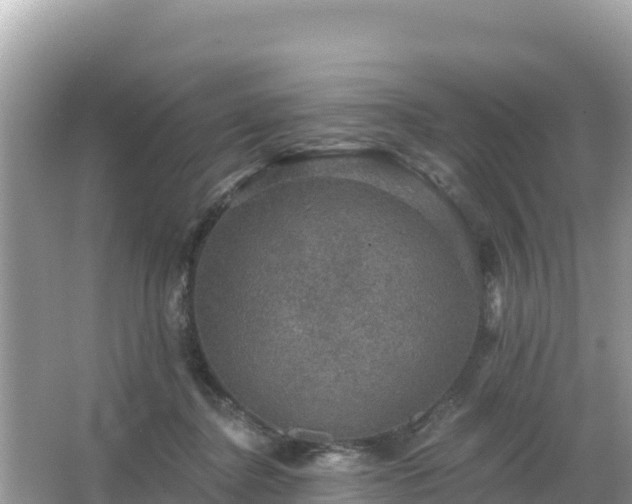 X0000066010364200603101603