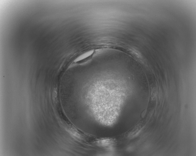 X0000066010365200603101603