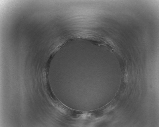 X0000066010366200603101603