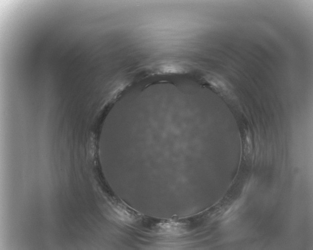 X0000066010367200603101603