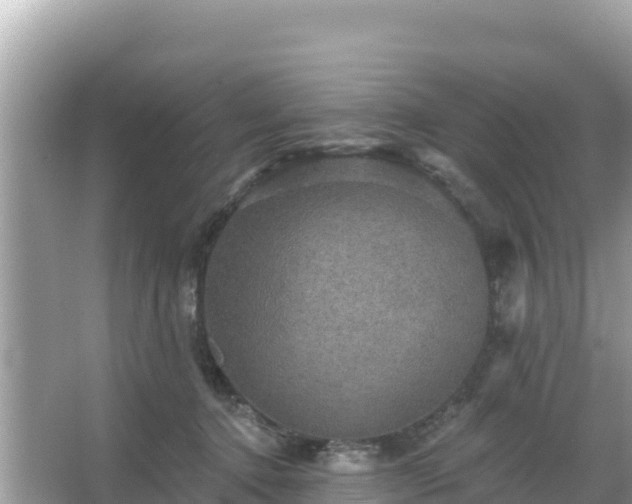 X0000066010368200603101603