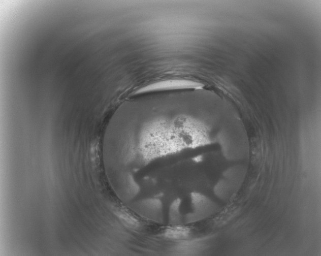 X0000066010369200603101603