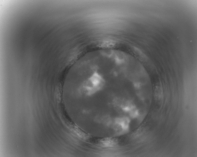 X0000066010370200603101603