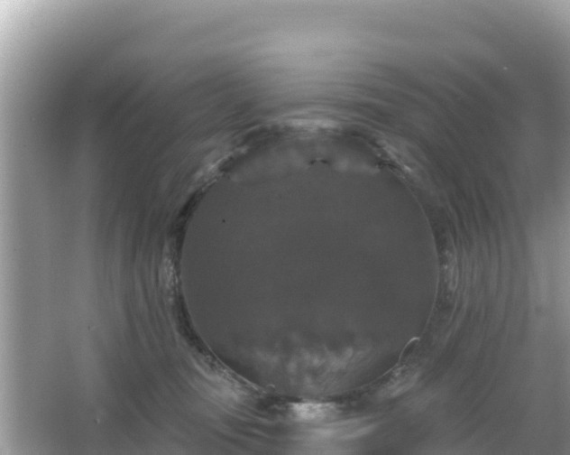 X0000066010371200603101603