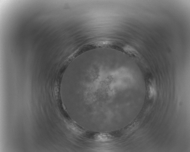 X0000066010372200603101603