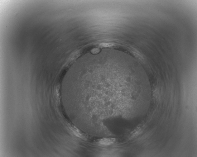 X0000066010373200603101603