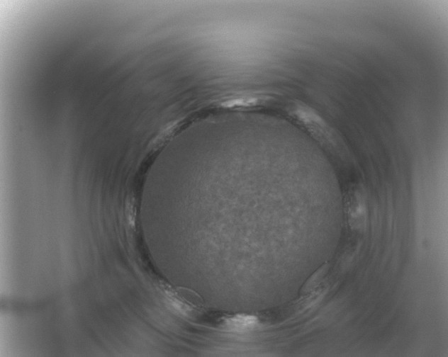 X0000066010374200603101603