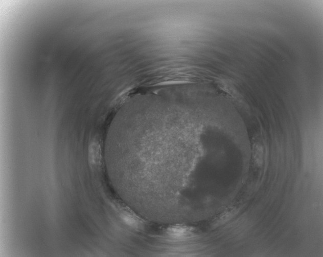 X0000066010375200603101603