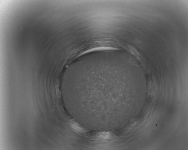 X0000066010377200603101603