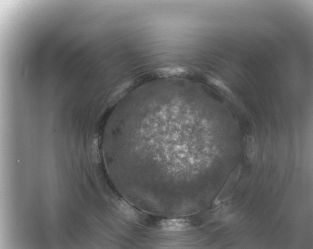 X0000066010378200603101603