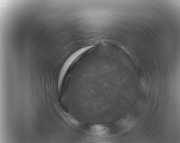 X0000066010380200603101603