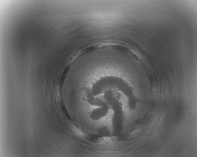 X0000066010381200603101603