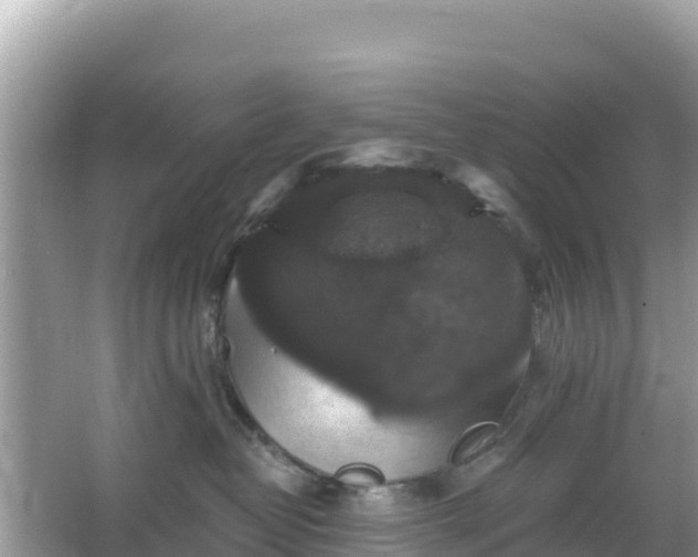 X0000066010382200603101603