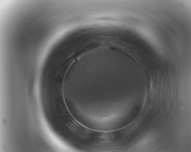 X0000066010383200603101603