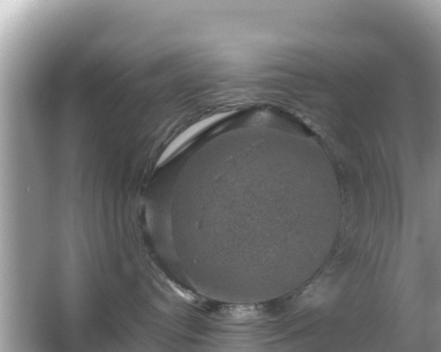 X0000066010384200603101603