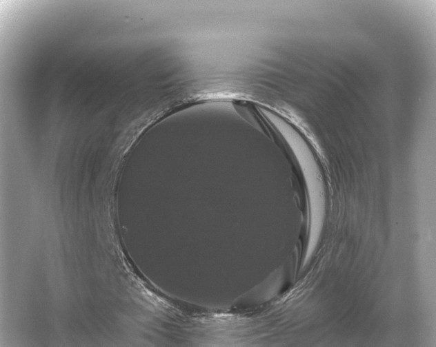 X0000066010385200603101602