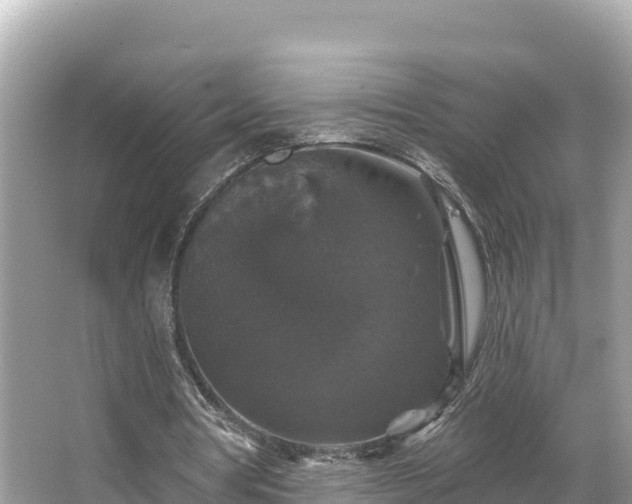 X0000066010386200603101602