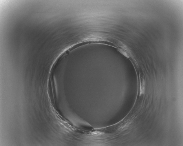 X0000066010387200603101602