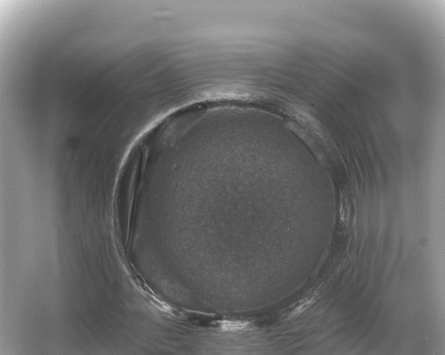 X0000066010388200603101602