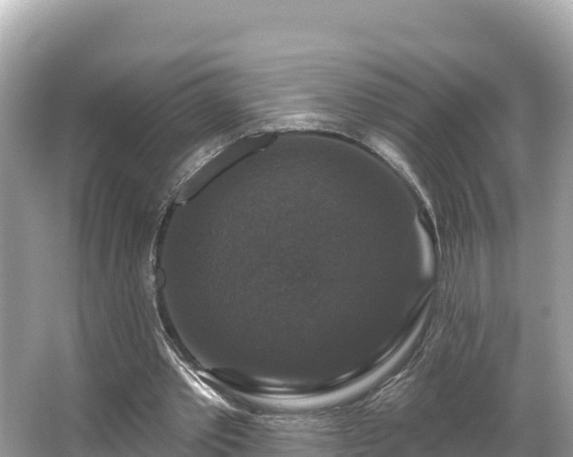 X0000066010389200603101602