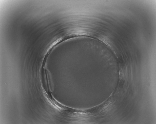 X0000066010390200603101602